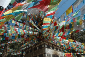 DSC_2792.jpg