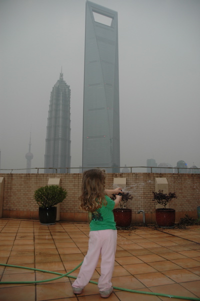 dsc_0369 dsc_0369