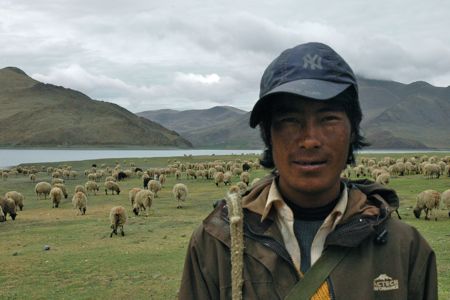 Herder
