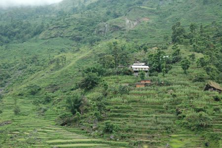 Terraced Hillsides