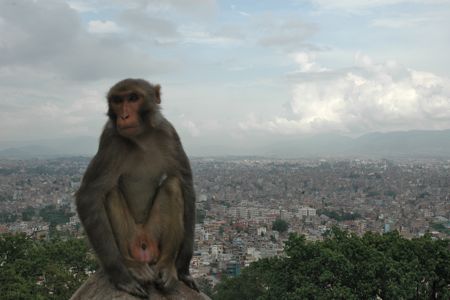 Swayambhunath Temple view over Kathmandu