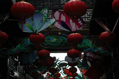 DSC_6256 DSC_6256