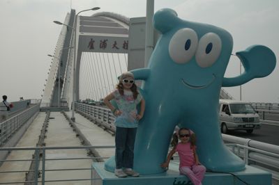 DSC_6317 DSC_6317
