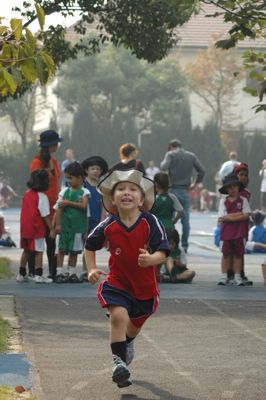 DSC_7931 DSC_7931