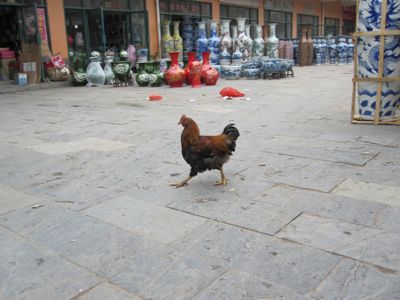 IMG_0027