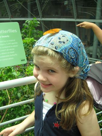 IMG_1280 IMG_1280