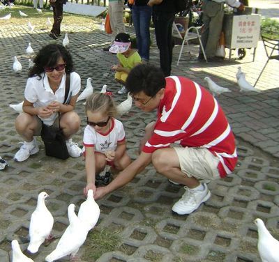 im feeding the dove im feeding the dove