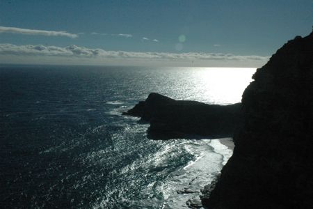 The view