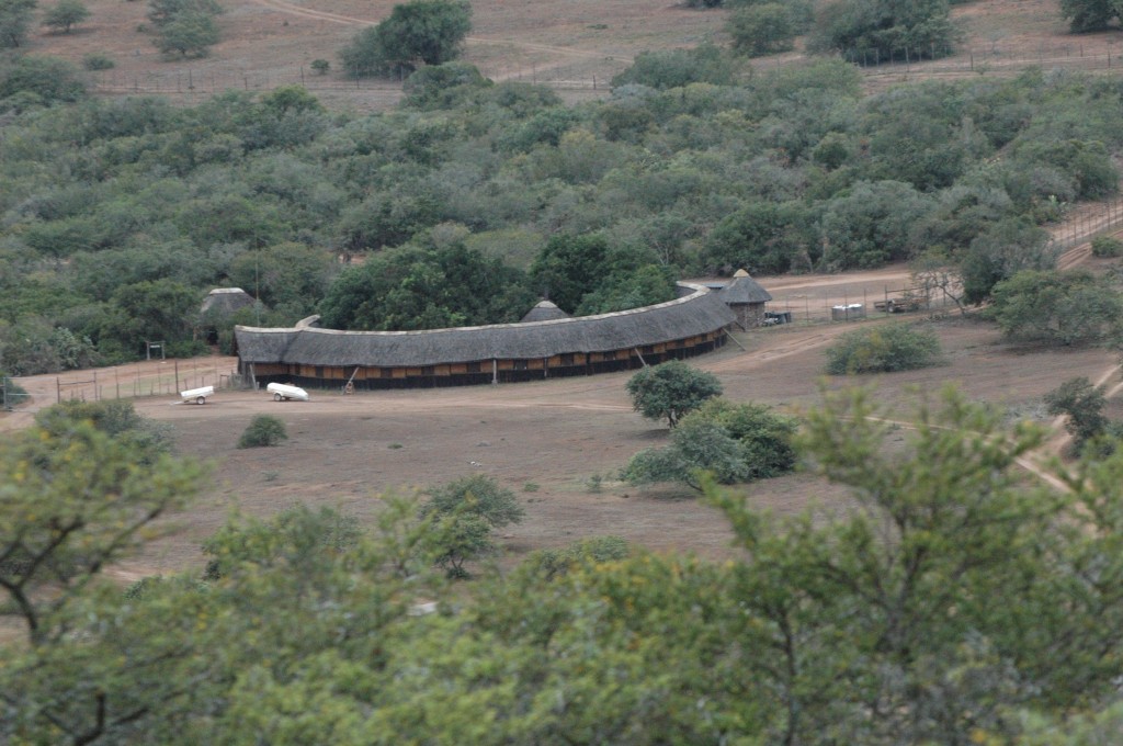 The lapa