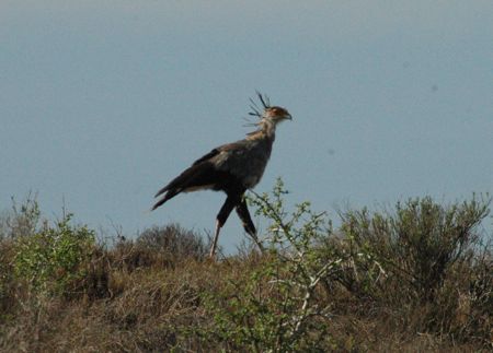 DSC_5961