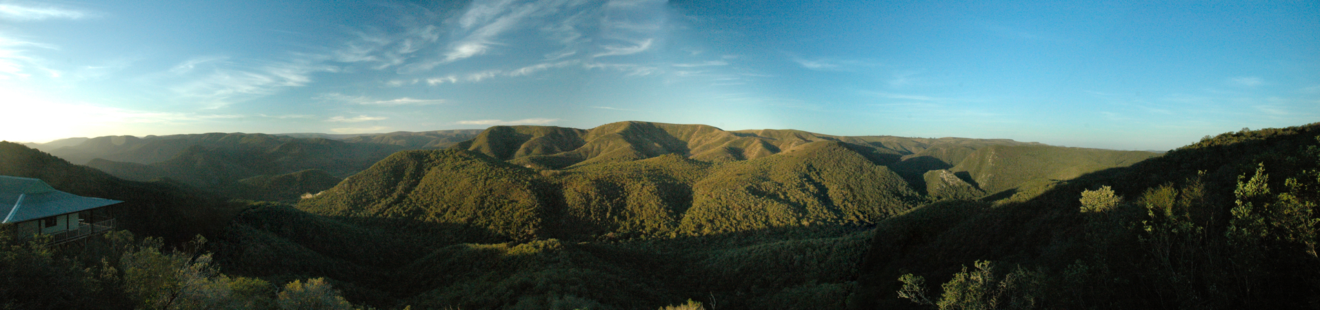 Figtree Panorama