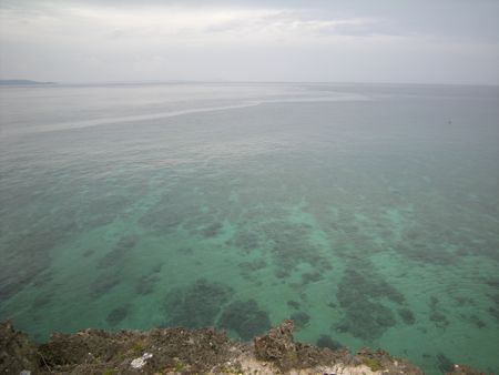 DSCN0679