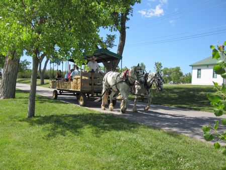 IMG_3331