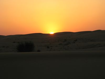 IMG_9101