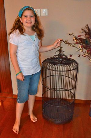 D7K_1862