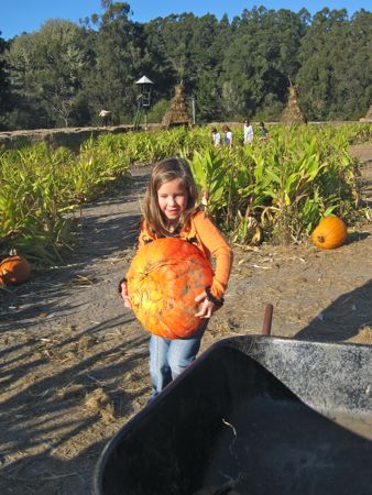 IMG_7789
