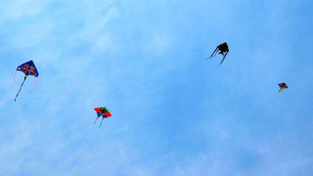 IMG_9104