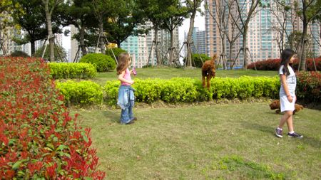 IMG_9110