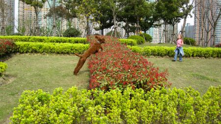 IMG_9113