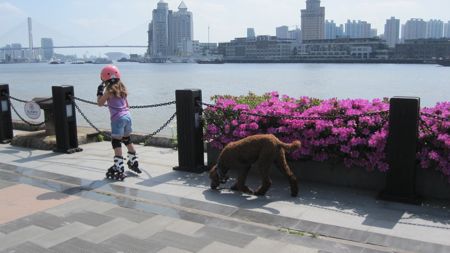 IMG_9255