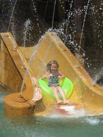 IMG_2331