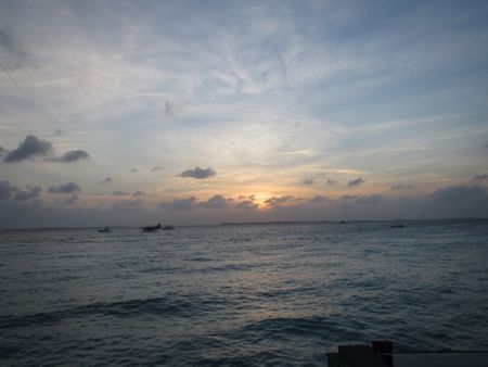 IMG_3647