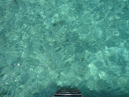 IMG_4201