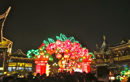 IMG_4564