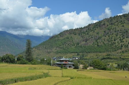 DSC_7491_2