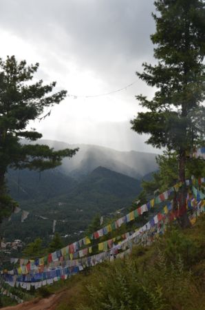 DSC_8516