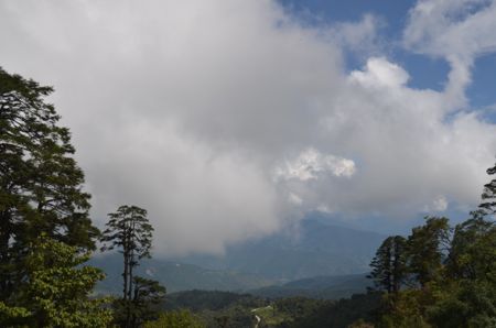 DSC_8618_2