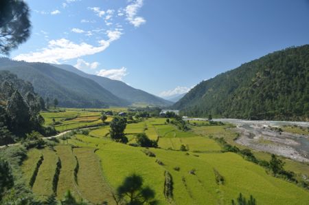 DSC_8896_2