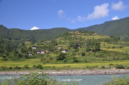 DSC_8901