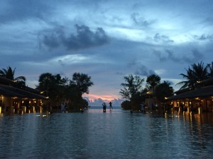 IMG_4502
